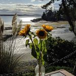 Donna Chester - @donna.chester.94 - Instagram