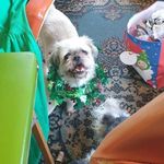 Donna Chester - @donna.chester.587 - Instagram
