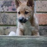 Donna Chew - @donna.chew.50 - Instagram