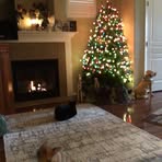Donna Chia - Facebook