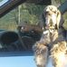 Donna Chiaramonti - Facebook
