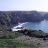 DC345 - @donnachildress128 - TikTok