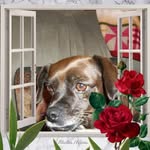 Donna Cavanaugh Childress - @donna.childress.7 - Instagram