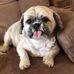 Donna Childress - Facebook