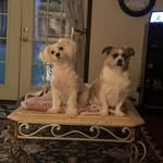 Donna Leigh Childress - @donnachildress10 - Instagram