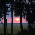 Donna S Childress - @donna_childress1 - Instagram