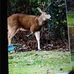 Donna Chrisman - Facebook