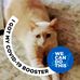 Donna Cioffi - Facebook