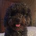 Donna Cipriano - Facebook