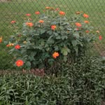 Donna Cisco - @donna_cisco1 - Instagram