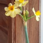donna clegg - @emynwen - Instagram