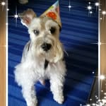 Donna Clifton - @donna.clifton.355 - Instagram
