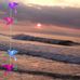 Donna Clinger - Facebook