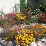 Donna Cloninger - @dcloninger0819 - Instagram