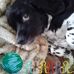 Donna Close - Facebook