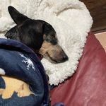 Donna Leach Cloud - @donna.cloud - Instagram