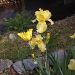 Donna Clouse - @djc1947 - Instagram