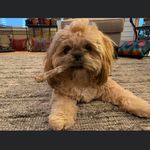 Donna Clow - @donnaclowphotography - Instagram