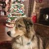 Donna Clow Bramblett - @user6707326594460 - TikTok