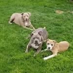 Donna Coad - @donnacoad48 - Instagram