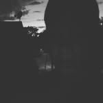 Donna Coad - @donnacoad - Instagram