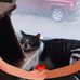 Donna Coates - Facebook