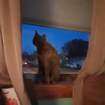 Donna Cobel - @donnacobel - Instagram