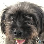 Donna Wright - @donna.cobleywright - Instagram