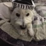 Donna Cocchiarella-mcbride - @donita1214 - Instagram