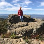 Donna Cocco - @dlcocco - Instagram