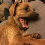 Donna Cockrell - @cockrelldonna - Instagram