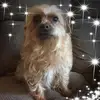 Donna Cockrell - @dj5675 - TikTok