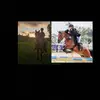 coco_donna1 - @coco_donna1 - TikTok
