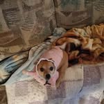 Donna Williamson - @donna_coco.1 - Instagram