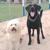 Donna&Coco - @donnaycoco - TikTok