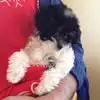 donnawarren425 - @donna.coco3 - TikTok