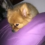Donna Coda - @donnacoda - Instagram