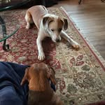 Donna Codair - @donna.codair - Instagram