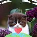 Donna Goder - Facebook