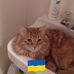 Donna Coderre - Facebook