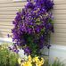 Donna Coderre - Facebook