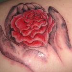 Donna Coe - @coe_donna - Instagram