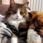 Donna Coe - @doncoe44 - Instagram