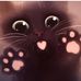 Donna Coe - Facebook