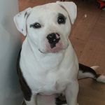 Donna Coe - @donna4mysage - Instagram