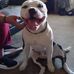 Donna Coe - Facebook