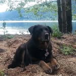 Donna Lindman Cofield - @dlindman.1 - Instagram