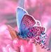 Donna Cogar - Facebook