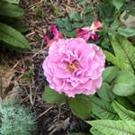 Donna Coit - @donna.coit - Instagram