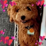 Donna Coit Kendrick - @kendrick.donna - Instagram